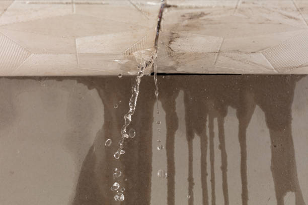 Professional Water Damage Repair technician working in Thorndale, TX